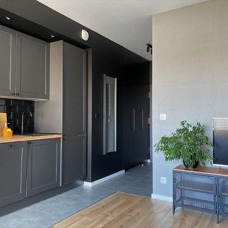 Apartament City Spa - Sokolska 30 Towers Katowice Kültér fotó
